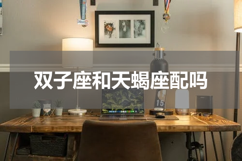 双子座和天蝎座配吗