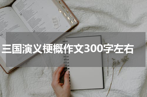三国演义梗概作文300字左右