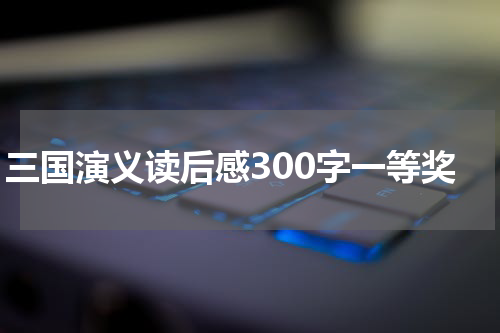 三国演义读后感300字一等奖