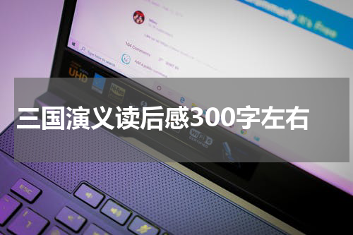 三国演义读后感300字左右