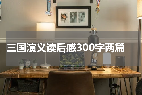 三国演义读后感300字两篇