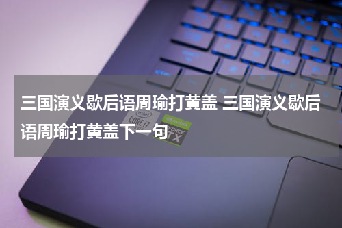 三国演义歇后语周瑜打黄盖 三国演义歇后语周瑜打黄盖下一句