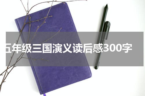 五年级三国演义读后感300字