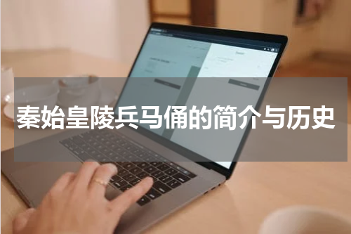 秦始皇陵兵马俑的简介与历史