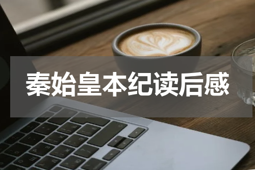 秦始皇本纪读后感