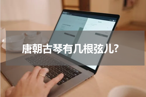 唐朝古琴有几根弦儿?
