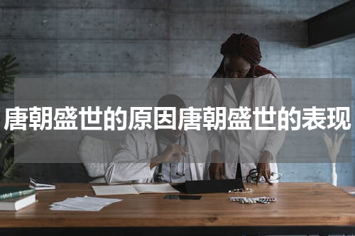唐朝盛世的原因唐朝盛世的表现