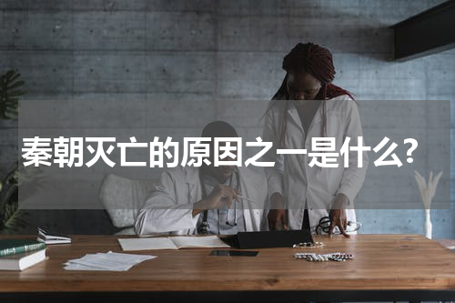 秦朝灭亡的原因之一是什么?