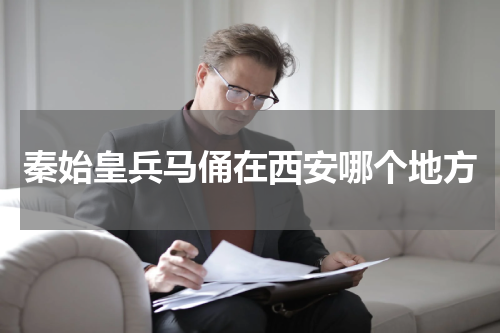 秦始皇兵马俑在西安哪个地方
