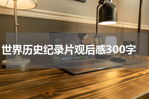 世界历史纪录片观后感300字