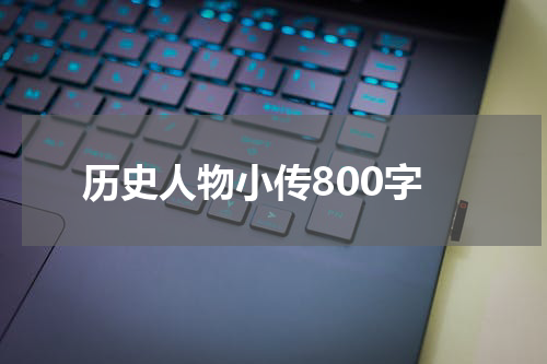 历史人物小传800字