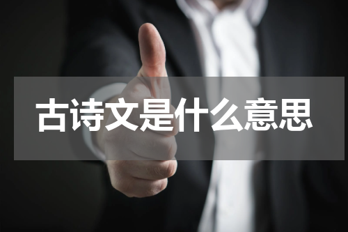 古诗文是什么意思
