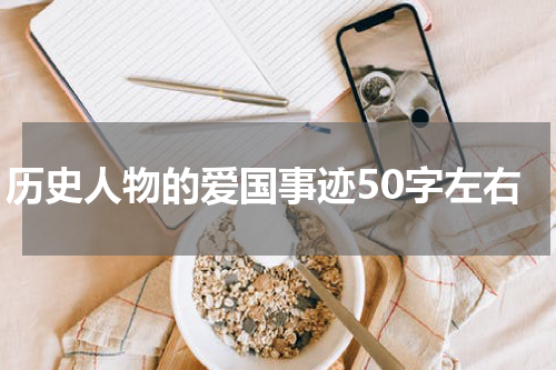 历史人物的爱国事迹50字左右