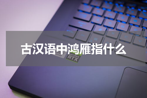 古汉语中鸿雁指什么