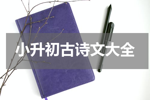 小升初古诗文大全