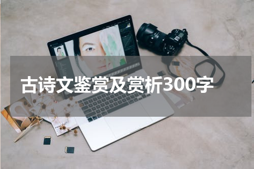古诗文鉴赏及赏析300字