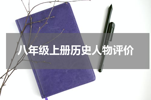 八年级上册历史人物评价