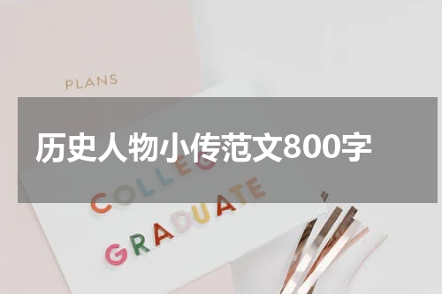 历史人物小传范文800字