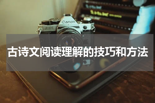 古诗文阅读理解的技巧和方法
