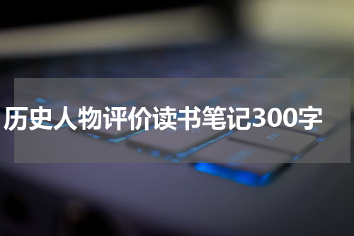历史人物评价读书笔记300字