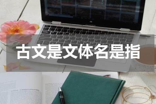 古文是文体名是指