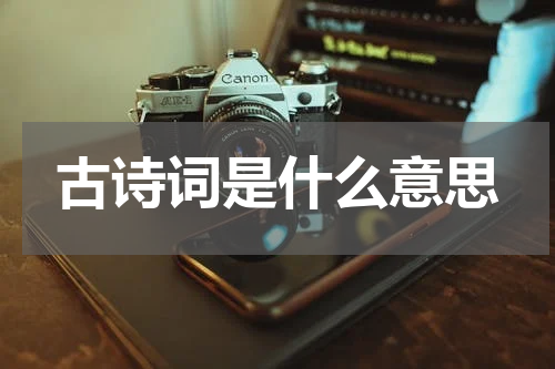 古诗词是什么意思