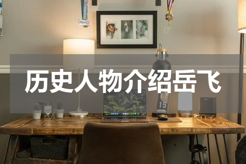 历史人物介绍岳飞
