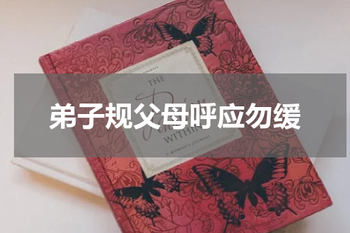 弟子规父母呼应勿缓