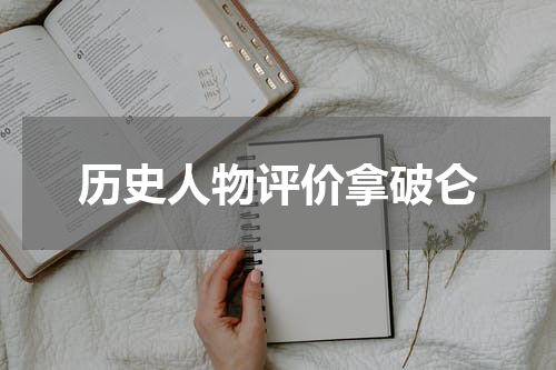 历史人物评价拿破仑