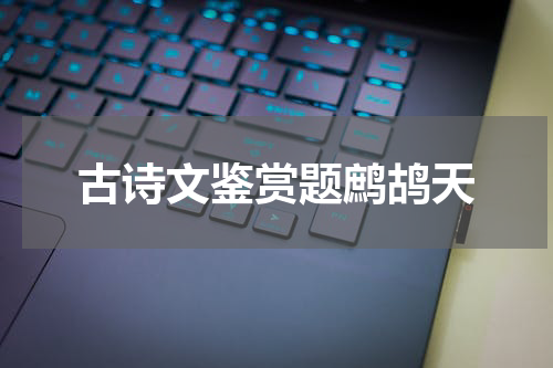 古诗文鉴赏题鹧鸪天
