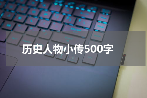 历史人物小传500字