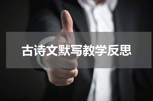 古诗文默写教学反思