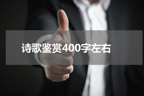 诗歌鉴赏400字左右