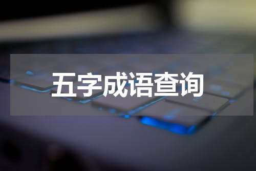 五字成语查询