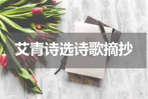 艾青诗选诗歌摘抄