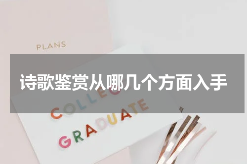 诗歌鉴赏从哪几个方面入手