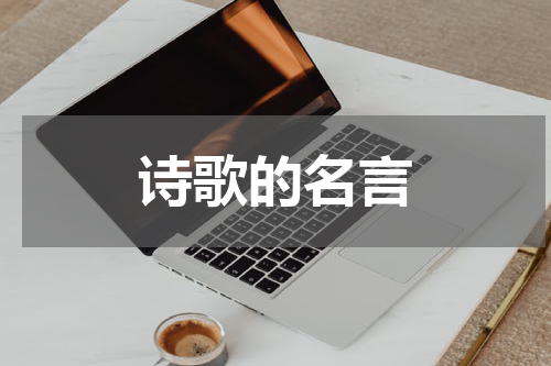 诗歌的名言