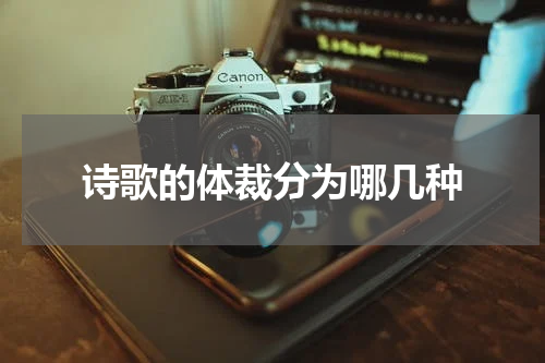 诗歌的体裁分为哪几种
