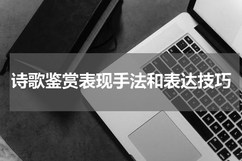 诗歌鉴赏表现手法和表达技巧