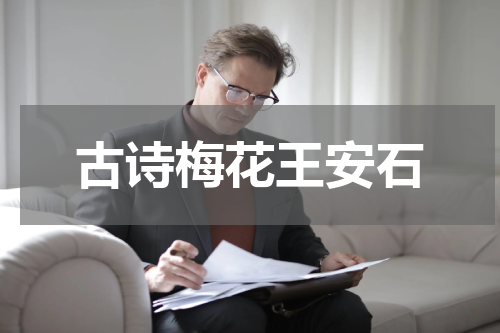 古诗梅花王安石