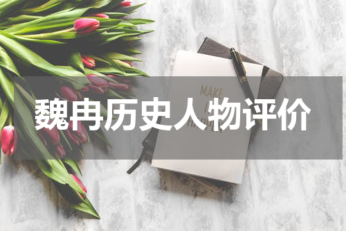 魏冉历史人物评价