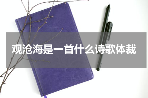 观沧海是一首什么诗歌体裁