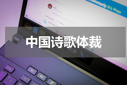 中国诗歌体裁