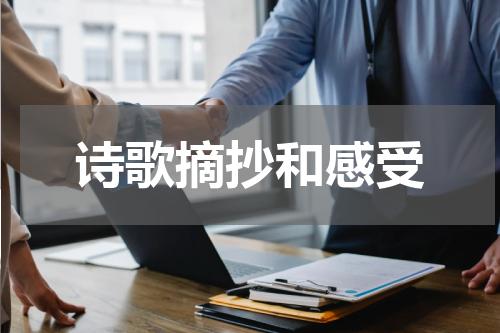 诗歌摘抄和感受