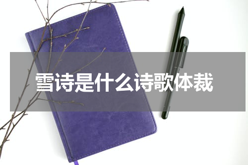 雪诗是什么诗歌体裁