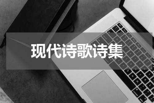 现代诗歌诗集