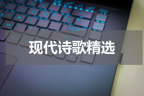 现代诗歌精选