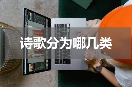 诗歌分为哪几类