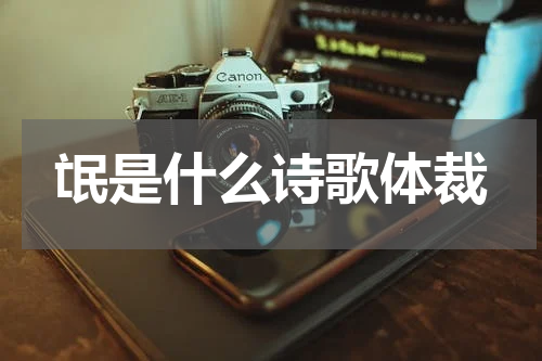 氓是什么诗歌体裁