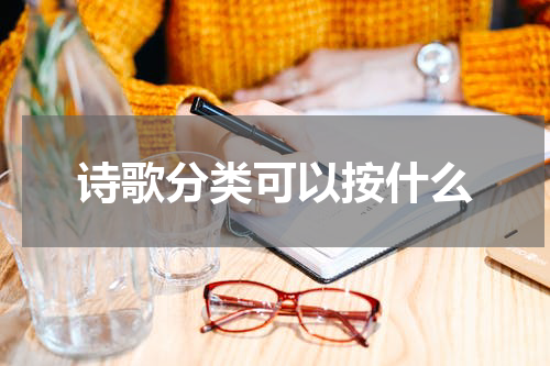 诗歌分类可以按什么